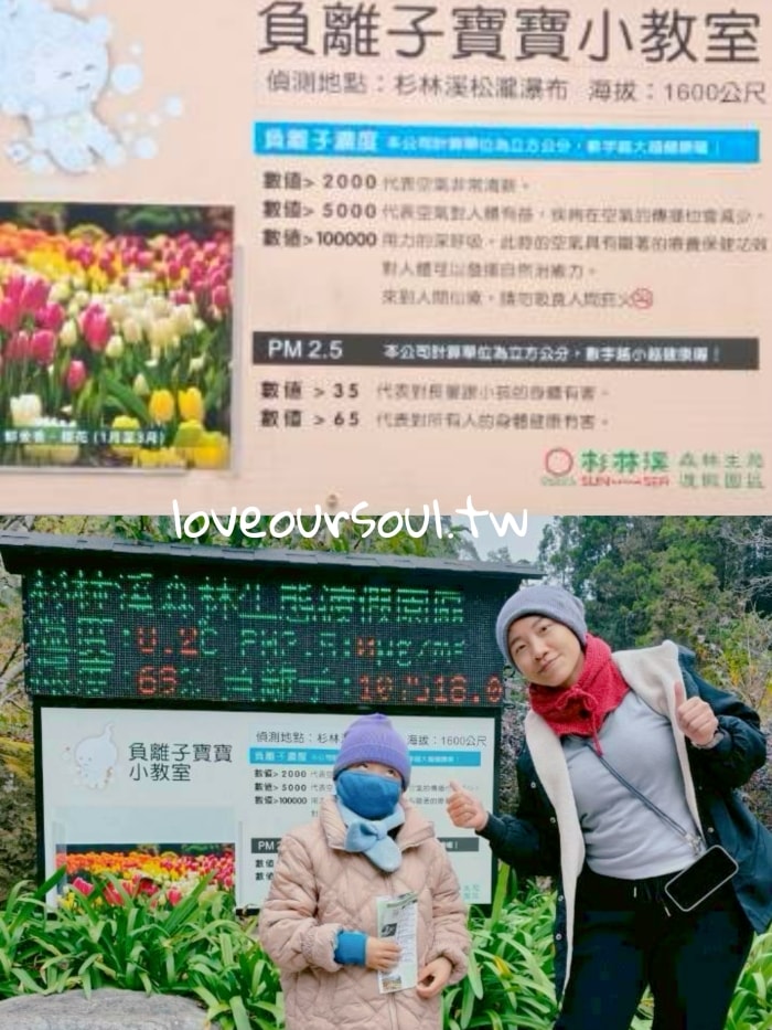 心得｜口罩與八度C的杉林溪